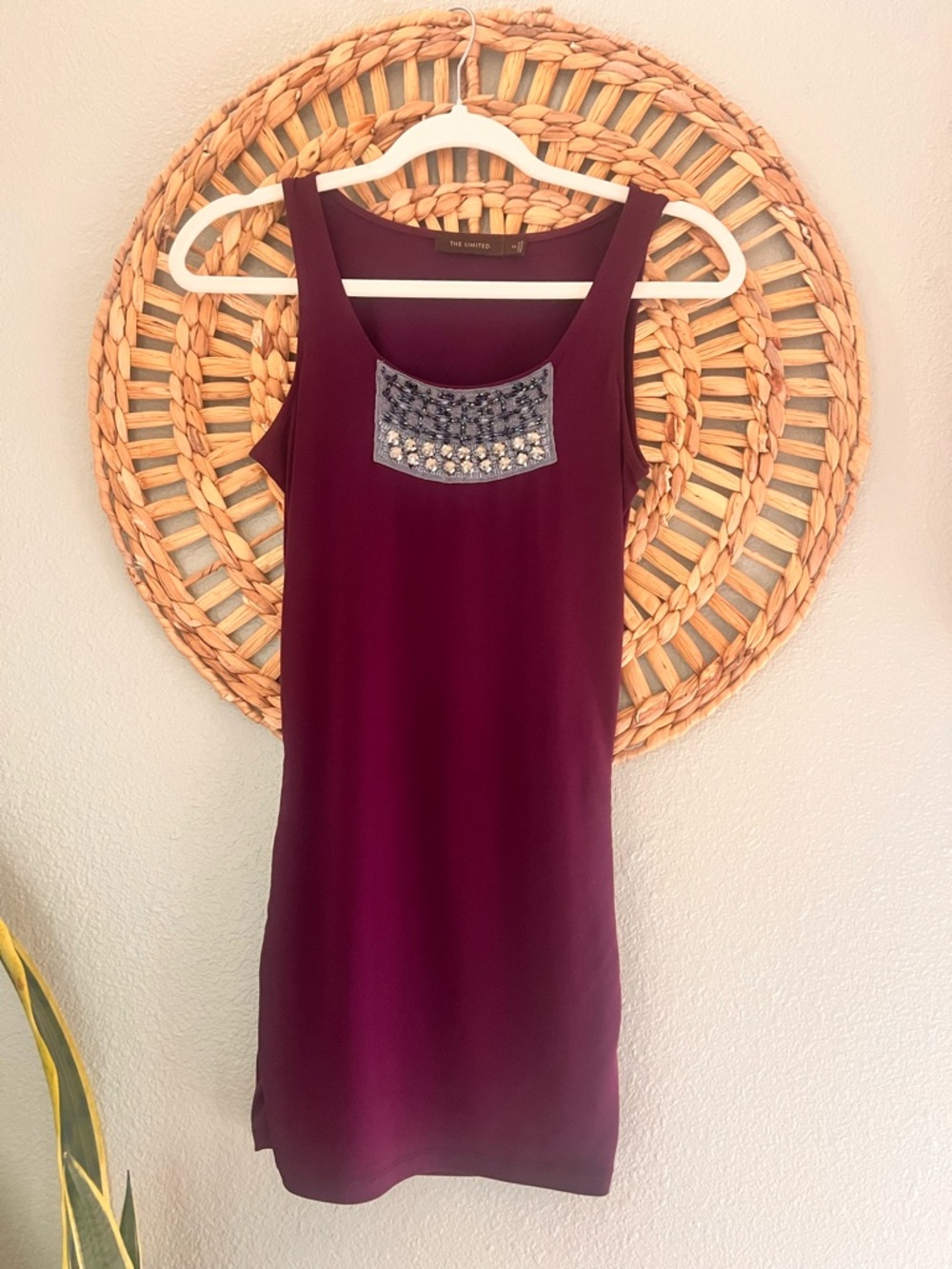 Embellished Plum Long Tank top